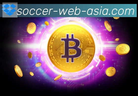 世界杯外围投注官方网站服务体系